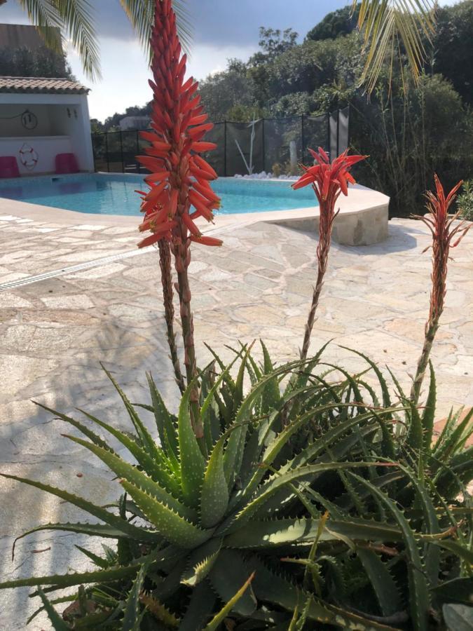 Maxima Sunset Apartment Sainte-Maxime Exterior photo